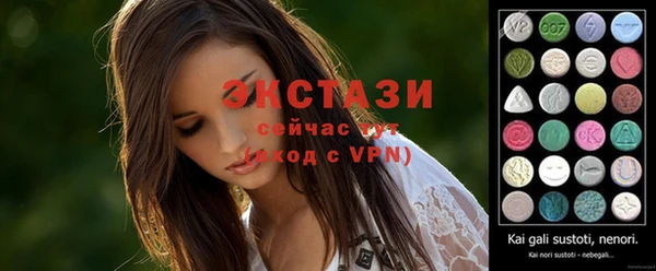 гашик Краснослободск