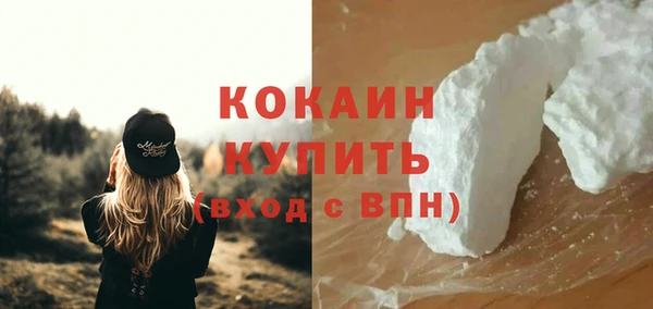 мдпв Кулебаки