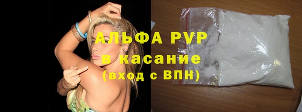 гашик Краснослободск