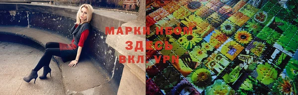 мдпв Кулебаки