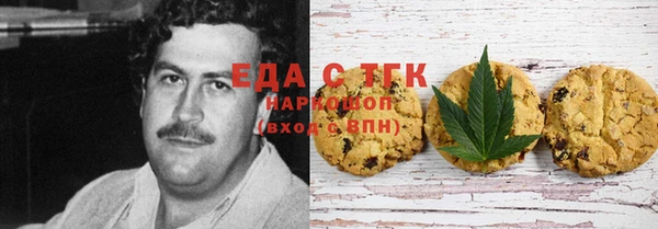 гашик Краснослободск