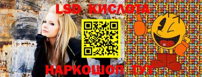 ГАЛЛЮЦИНОГЕННЫЕ ГРИБЫ Будённовск