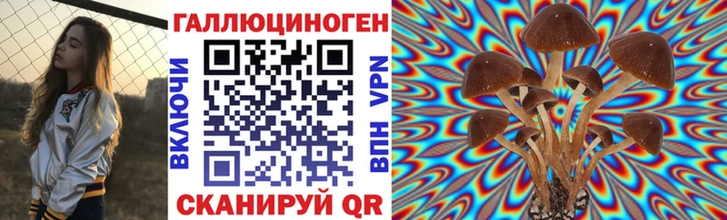 Псилоцибиновые грибы Psilocybine cubensis  kraken как зайти  Ртищево 